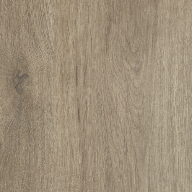 D4429 Oak Beigegrey
