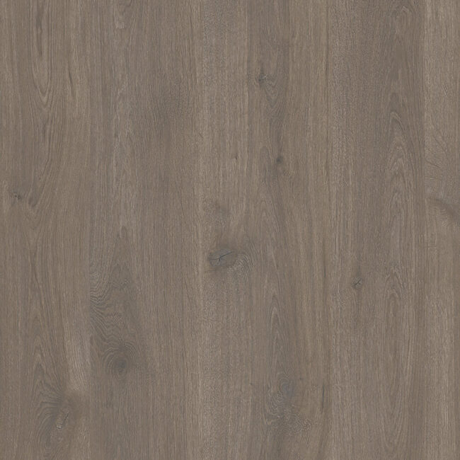 D4431 Oak Grey