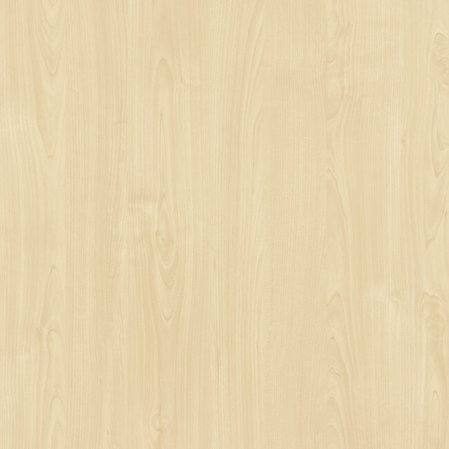 D2260 Mainau Birch