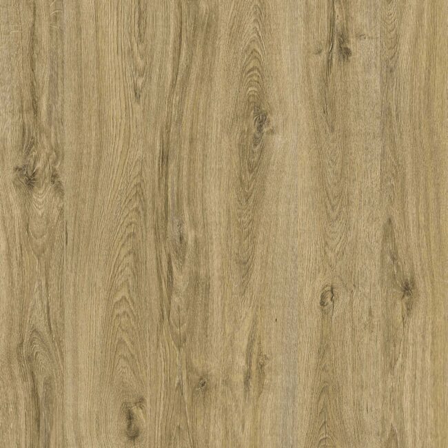 D3314 Giovanni Oak