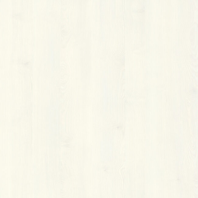 D5288 White Spruce