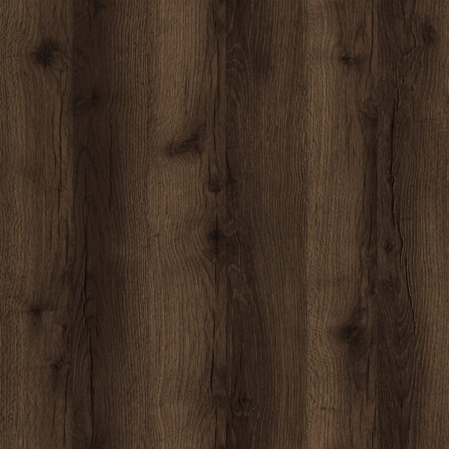 D6922 Quercus Oak