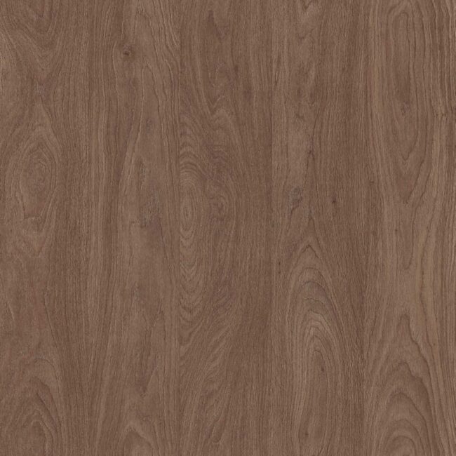 D3821 Stockholm Oak
