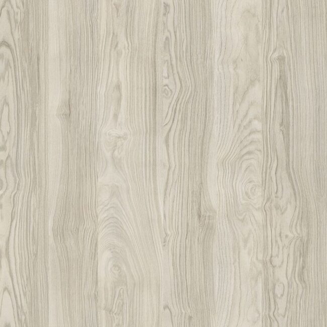 M6303 Spiry Elm White