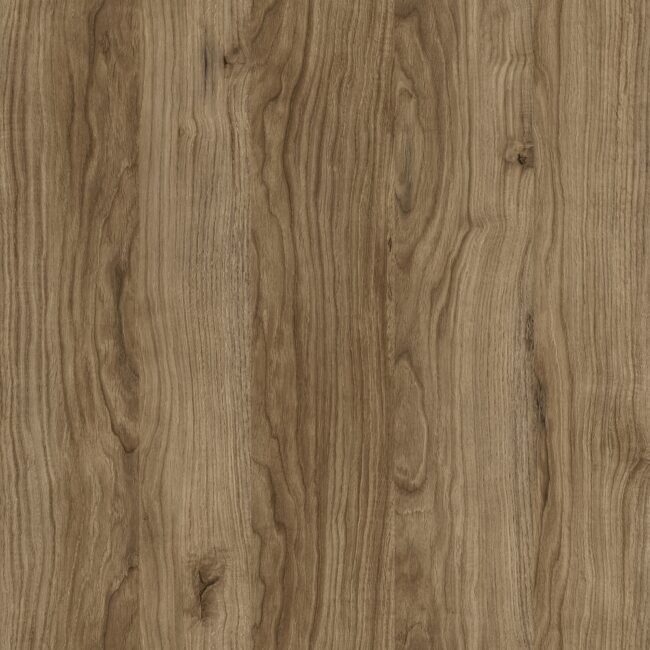 M6304 Etna Oak