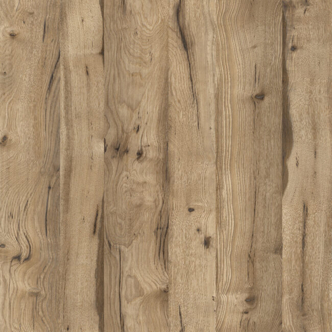 M6325 Kingdom Oak