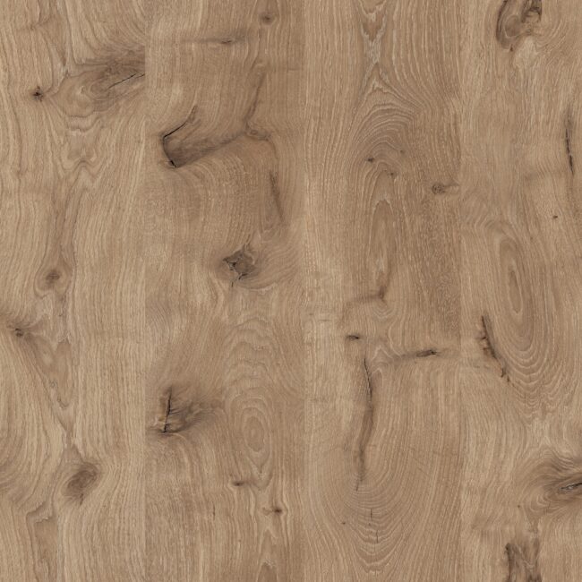 M6345 Medieval Oak