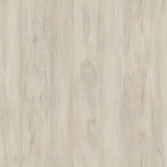 M6348 Aura Maple