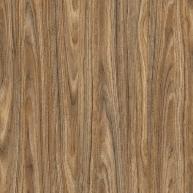M9334 Mystic Wood